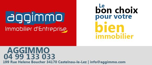 Aggimmo immobilier d'entreprise