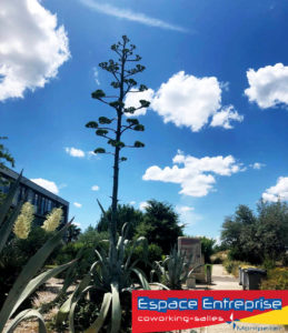 Bâtiment Millénaire